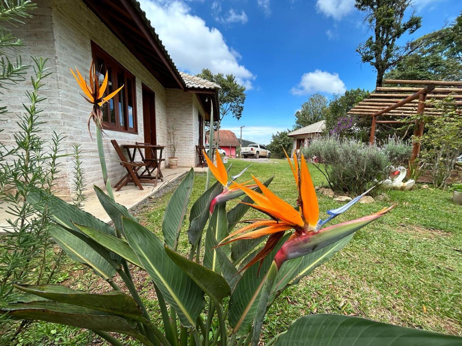 Residencial Vilas Boas Mv 蒙特韦尔迪 外观 照片